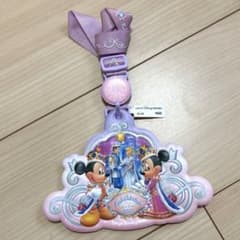 신데렐라 브레이션 패스 케이스 도쿄 디즈니 리조트 한정 레트로 레어