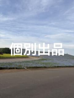 みらりら様個別出品のサムネイル