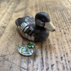 カモのサムネイル