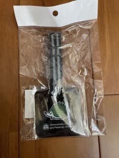 クラブハウス Callaway ネームプレート ヘッジホッグデザイン コラボ