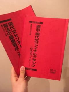 駿台　問題集　現代文のサムネイル