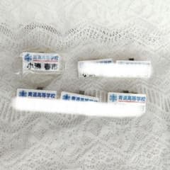小湊春市 青道高等学校 ネームプレート風バッジ 単体のサムネイル
