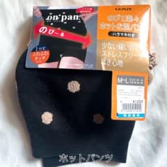 【新品】GUNZE グンセ　ホットパンツのサムネイル