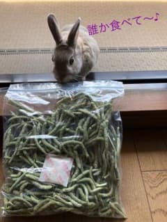 チモシーの穂のみ(袋・シリカゲル含む約90g以上)のサムネイル