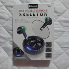 TRUE WIRELESS EARPHONE SKELETON 本体のサムネイル