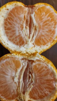 shoko様専用です！のサムネイル