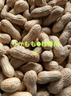 『りかもも☻様専用②』千葉県産　農薬不使用　おおまさり1㌔のサムネイル