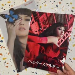 沢尻エリカ　パンフレット＆クリアファイル（新品）