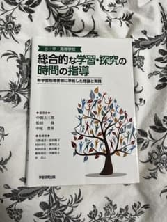 小・中・高等学校 総合的な学習・探究の時間の指導のサムネイル