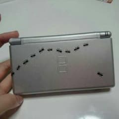【あやさん専用】アリさんDS Liteのサムネイル