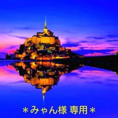 みゃん様専用です♪のサムネイル