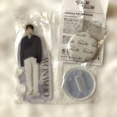 SEVENTEEN WONWOO Ichiban Kuji Acrylic Stand others