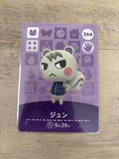 あつ森amiiboカード ジュンのサムネイル