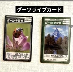 廃盤‼️激レア‼️ ジャポニカ ダーツ学習帳 ダーツライブカード セット darts 廃盤‼️激レア‼️ ジャポニカ ダーツ学習帳 ダーツライブカード セット