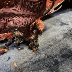 モンスターハンター(バルハザク）フィギュアのサムネイル