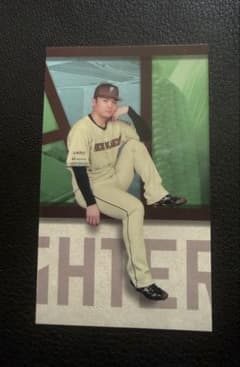 ファイターズ　郡司裕也 WE LOVE HOKKAIDO ステッカーセットのサムネイル