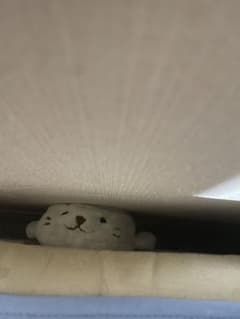 あざらしぬいぐるみのサムネイル