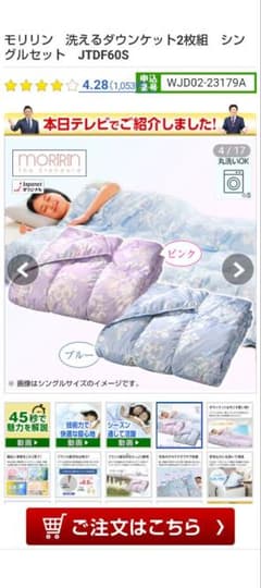 モリリン洗えるダウンケット2枚組 JTDF60S シングルセット レオ様