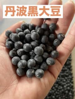 丹波黒大豆　B級品　500gのサムネイル