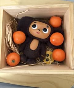 チェブラーシカ 小物入れ オレンジ 雑貨】オレンジ箱に入ったUSBチェブラーシカ | ロシア モノ・コト