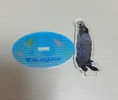 鳥羽水族館　ラッコ　キラちゃん　アクリルスタンドのサムネイル