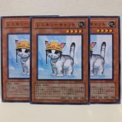 遊戯王 レスキューキャット　ノーマル　3枚セットのサムネイル