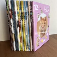 フレーベル館 しぜん キンダーブック12冊セット 平成24年4月〜平成25年