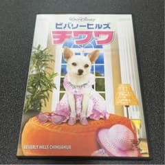 ☆ビバリーヒルズチワワDVD☆可愛い犬好きにのサムネイル