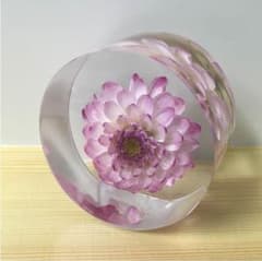 永遠の花「ダリア」のサムネイル