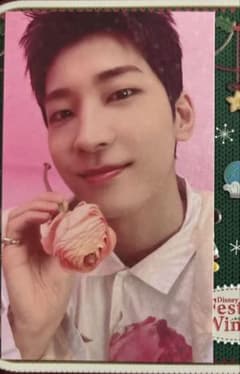 seventeen ウォヌ 特典 トレカ ユニバ - メルカリ