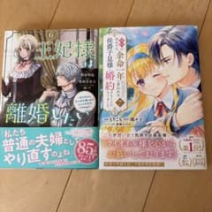 王妃様は離婚したい 6巻 義姉の代わりに、余命一年と言われる侯爵子息様と婚約　7 王妃様は離婚したい 6巻 義姉の代わりに、余命一年と言われる侯爵子息
