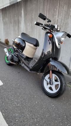 m95080597485_1.jpg?1772418389