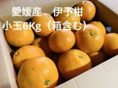 愛媛産　伊予柑　小玉6kgのサムネイル