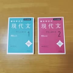 柳生好之の現代文ポラリス１基礎レベル 柳生好之の現代文ポラリス２標準レベル