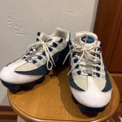 ナイキ エアヴェイパーマックス95 ブルーグラデのサムネイル