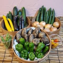 夏野菜 長野県産　ブルーベリー付　詰め合わせセット　安曇野のサムネイル