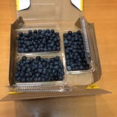 ブルーベリー　600g　無農薬のサムネイル