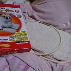 ゆうこりん様専用♡⃜犬♡⃜猫用ヒーターのサムネイル
