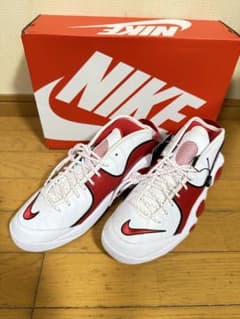 AIR ZOOM FLIGHT 95 いちいち様専用！のサムネイル