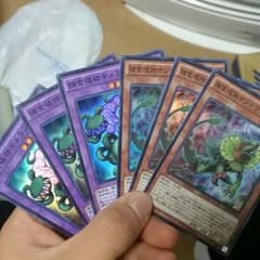 遊戯王補食植物プレデタープランツデッキパーツのサムネイル