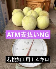 若桃加工用14キロのサムネイル