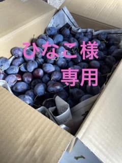 訳あり　プルーンのサムネイル