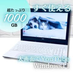 超大容量1000GB❤️ブルーレイカメラ8GB Windows11ノートパソコン