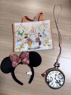 Disney merchandise set: headband, pass case, 40th anniversary shopping bag