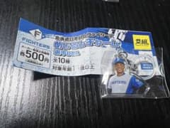 北海道日本ハムファイターズ　めじるしチャーム　選手ver 水谷瞬のサムネイル