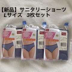 【新品】Lサイズ3枚セット　ワコール　サニタリーショーツ　Lのサムネイル