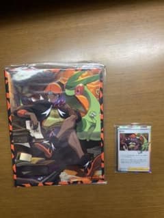 ポケモンカード ポケカ キバナのサムネイル