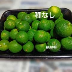 種なしすだち　訳あり　２.５キロのサムネイル