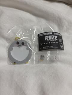 RIIZE ウンソク　EUNSEOK ガチャガチャのサムネイル