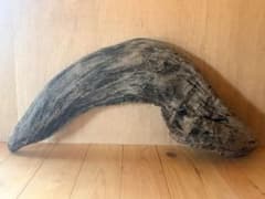 #260 アーチ型流木 オブジェ インテリア 天然素材 アート素材 工作のサムネイル